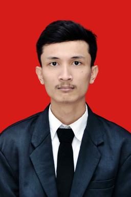 Muhammad Erwin Shah