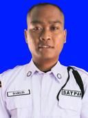 DARLIS