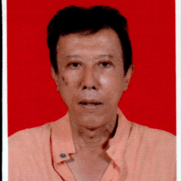 Ismail johan