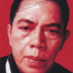 Ludhi Triansyah